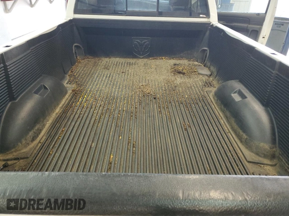 2005 Dodge 1500 SLT with VIN 1D7HA16N45J510030, listed as a Copart auction lot 48669925 with 243,947 mi miles and Clean Title. Bid and sale history available at carsss.com. Image 10.
