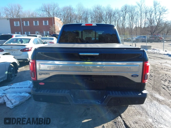 2017 Ford F-150 XL with VIN 1FTEW1EGXHFB14984, listed as a IAAI auction lot 41546709 with 132,132 mi miles. Bid and sale history available at carsss.com. Image 16.