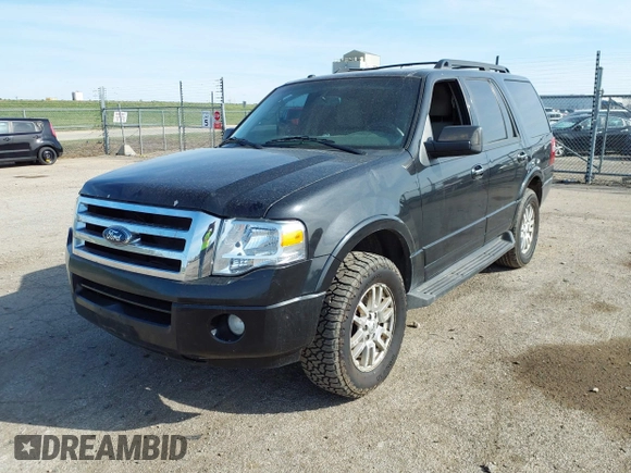 2012 Ford Expedition XLT with VIN 1FMJU1J51CEF40095, listed as a IAAI auction lot 41890811 with 202,090 mi miles and . Bid and sale history available at DreamBid. Image 17.