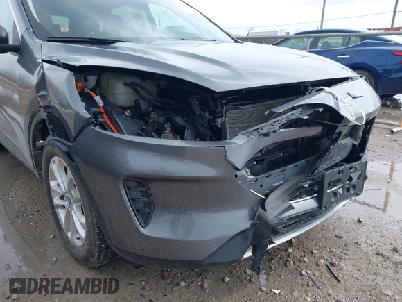 2022 Ford Escape SE Hybrid с VIN 1FMCU9BZ0NUA79005, выставлен на аукционе IAAI как лот 42123629 с пробегом 47 690 миль миль и . История ставок и продаж доступна на DreamBid. Изображение 6.