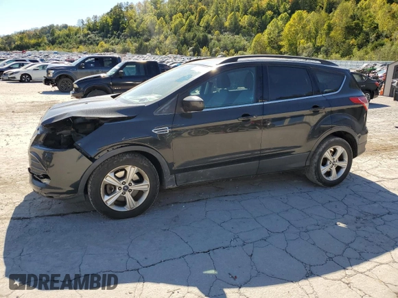 2014 Ford Escape SE with VIN 1FMCU9GX1EUB06543, listed as a Copart auction lot 75326984 with 119,881 mi miles and Salvage title. Bid and sale history available at DreamBid. Image 1.