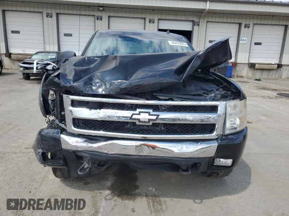 2007 Chevrolet Silverado 1500 1LT with VIN 1GCEK19097Z586132, listed as a Copart auction lot 50406825 with 177,331 mi miles and Salvage Title. Bid and sale history available at DreamBid. Image 5.