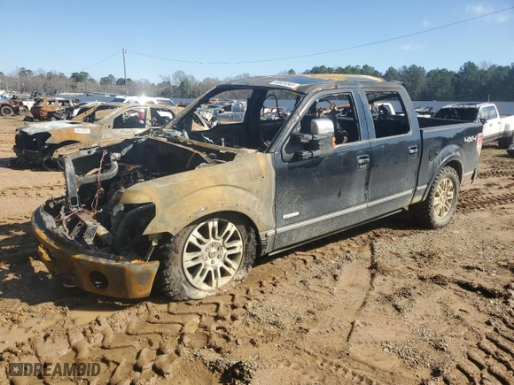 2014 Ford F-150 XL with VIN 1FTFW1ET2EFA54633, listed as a Copart auction lot 46620345 with 0 mi miles and Salvage Title. Bid and sale history available at carsss.com. Image 1.