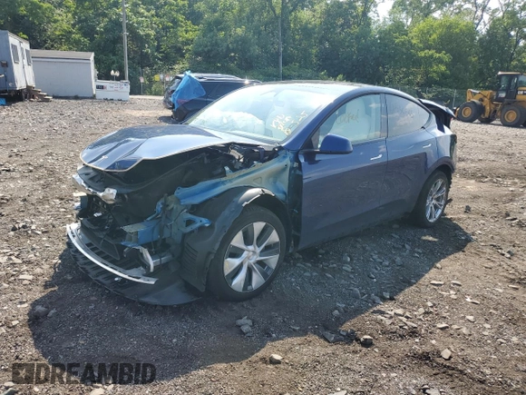 2024 Tesla Model Y Long Range with VIN 7SAYGAEEXRF983702, listed as a Copart auction lot 61536565 with Not provided miles and Salvage title. Bid and sale history available at DreamBid. Image 1.