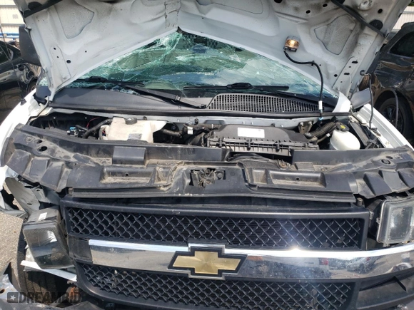2019 Chevrolet Express Passenger LT with VIN 1GAZGPFP2K1314996, listed as a Copart auction lot 64846124 with 111,446 mi miles and Non Repairable. Bid and sale history available at carsss.com. Image 12.