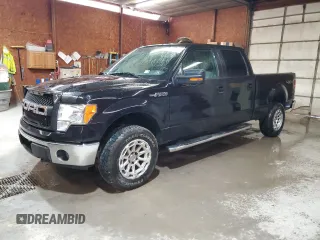 2013 Ford F-150 XL with VIN 1FTFW1EF1DFD11886, listed as a Copart auction lot 53393255 with 294,772 mi miles and Salvage Title. Bid and sale history available at carsss.com. Image 1.