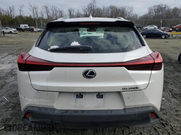 2020 Lexus UX with VIN JTHP9JBH3L2021736, listed as a Copart auction lot 87338594 with 0 mi miles and Salvage Title. Bid and sale history available at carsss.com. Image 6.