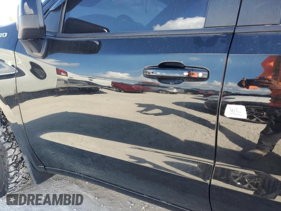 2020 Chevrolet Silverado 1500 RST with VIN 3GCPWDED5LG214689, listed as a Copart auction lot 76002194 with Not Provided miles and Non Repairable. Bid and sale history available at DreamBid. Image 12.