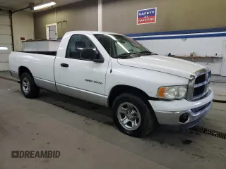 2005 Dodge 1500 SLT with VIN 1D7HA16N45J510030, listed as a Copart auction lot 48669925 with 243,947 mi miles and Clean Title. Bid and sale history available at carsss.com. Image 4.