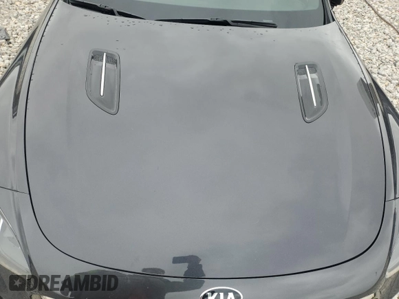 2019 Kia Stinger GT1 with VIN KNAE45LC0K6054506, listed as a Copart auction lot 79434114 with 29,497 mi miles and Non Repairable. Bid and sale history available at carsss.com. Image 11.