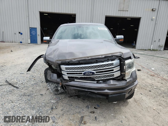 2013 Ford F-150 XL with VIN 1FTFW1ETXDFD53270, listed as a Copart auction lot 60372525 with Not provided miles and Salvage title. Bid and sale history available at DreamBid. Image 5.