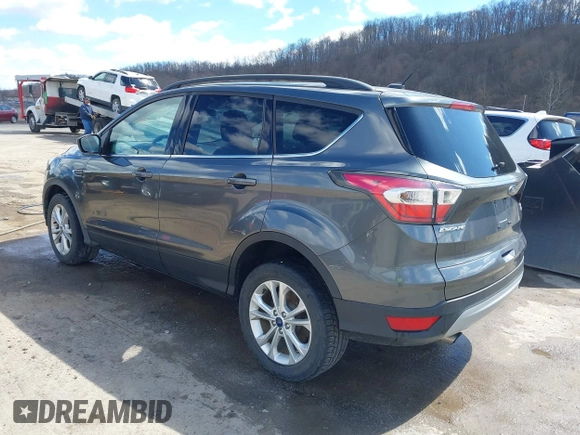 2017 Ford Escape SE with VIN 1FMCU9GDXHUA10453, listed as a IAAI auction lot 41860507 with 175,733 mi miles and . Bid and sale history available at DreamBid. Image 3.