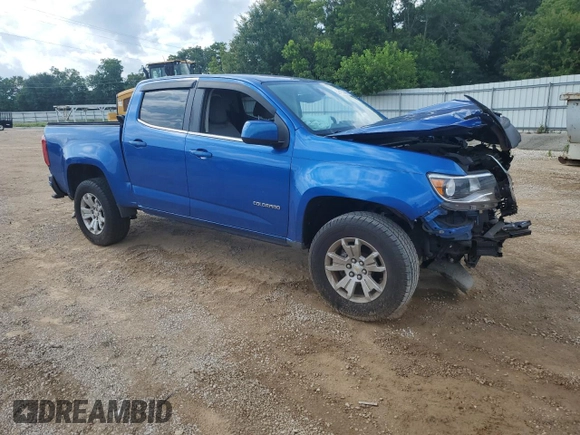 2019 Chevrolet Colorado 2WD LT with VIN 1GCGSCEN4K1209110, listed as a Copart auction lot 59401445 with 44,950 mi miles and Non repairable. Bid and sale history available at DreamBid. Image 4.
