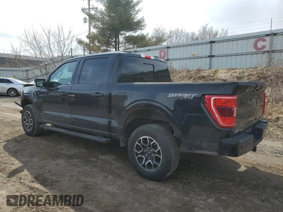 2023 Ford F-150 XL with VIN 1FTEW1EP5PKD18002, listed as a Copart auction lot 49512185 with 23,260 mi miles and Clean Title. Bid and sale history available at carsss.com. Image 2.