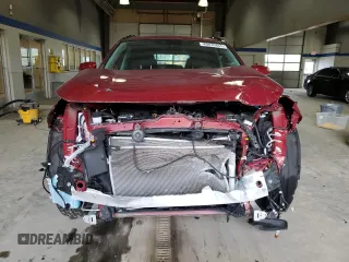2023 Toyota RAV4 XLE with VIN 2T3P1RFV8PW378298, listed as a Copart auction lot 49070455 with 38,042 mi miles and Salvage Title. Bid and sale history available at carsss.com. Image 5.