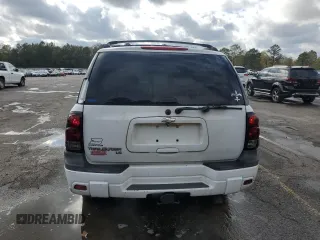 2005 Chevrolet TrailBlazer LS with VIN 1GNDS13S652324801, listed as a Copart auction lot 49913205 with 274,752 mi miles and Salvage Title. Bid and sale history available at DreamBid. Image 6.
