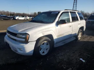 2002 Chevrolet TrailBlazer LS with VIN 1GNDT13S922137772, listed as a Copart auction lot 86365434 with 169,234 mi miles and Clean Title. Bid and sale history available at carsss.com. Image 1.