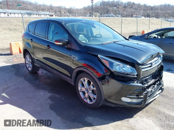 2013 Ford Escape SEL with VIN 1FMCU0HX4DUB31123, listed as a IAAI auction lot 41740392 with 171,239 mi miles. Bid and sale history available at carsss.com. Image 1.