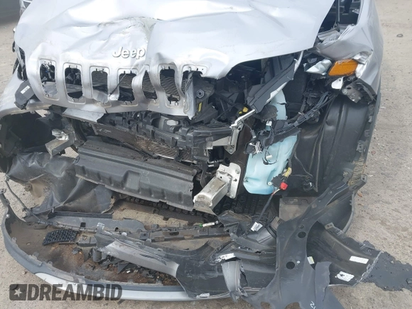 2019 Jeep Cherokee Limited with VIN 1C4PJLDN0KD300846, listed as a IAAI auction lot 41688555 with 54,166 mi miles. Bid and sale history available at carsss.com. Image 6.