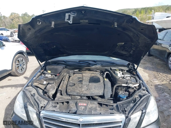 2013 Mercedes-Benz E-Class E 350 Luxury with VIN WDDHF5KB0DA702841, listed as a IAAI auction lot 41875593 with 276,264 mi miles. Bid and sale history available at carsss.com. Image 10.