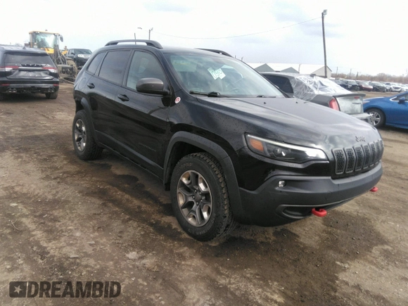 2019 Jeep Cherokee Trailhawk with VIN 1C4PJMBX1KD331128, listed as a IAAI auction lot 41983976 with 110,190 mi miles and . Bid and sale history available at DreamBid. Image 1.