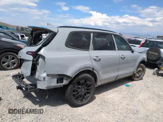 2022 Kia Telluride SX with VIN 5XYP5DHC5NG223447, listed as a Copart auction lot 62501315 with Not provided miles and Salvage title. Bid and sale history available at DreamBid. Image 3.