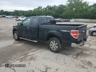 2013 Ford F-150 XL with VIN 1FTFX1EF6DFA66130, listed as a Copart auction lot 63207265 with 190,147 mi miles and Salvage title. Bid and sale history available at DreamBid. Image 2.