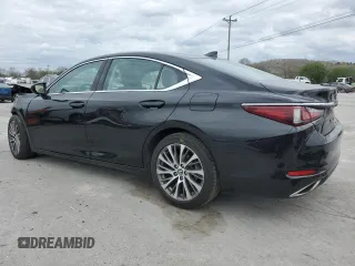 2019 Lexus ES with VIN 58ABZ1B12KU007851, listed as a Copart auction lot 51161375 with 49,757 mi miles and Salvage Title. Bid and sale history available at carsss.com. Image 2.