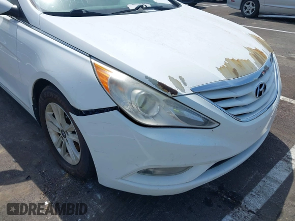 2013 Hyundai Sonata GLS with VIN 5NPEB4AC2DH674482, listed as a IAAI auction lot 42487657 with 176,264 mi miles and . Bid and sale history available at DreamBid. Image 6.