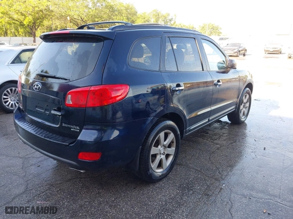 2009 Hyundai Santa Fe SE with VIN 5NMSH13E69H234946, listed as a IAAI auction lot 41876967 with 182,437 mi miles. Bid and sale history available at carsss.com. Image 4.