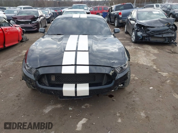 2017 Ford Mustang Shelby GT350 z VIN 1FA6P8JZ2H5523798, wystawiony jako IAAI lot #41541814 z przebiegiem 21 853 mil mil oraz . Historia ofert i sprzedaży dostępna na DreamBid. Obrazek 12.