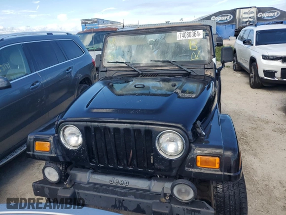 2002 Jeep Wrangler Sahara with VIN 1J4FA59S62P722411, listed as a Copart auction lot 74080364 with 0 mi miles and Non Repairable. Bid and sale history available at carsss.com. Image 5.