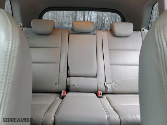 2009 Acura RDX with VIN 5J8TB18249A001714, listed as a Copart auction lot 43387965 with 216,073 mi miles and Salvage Title. Bid and sale history available at carsss.com. Image 10.