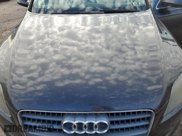 2009 Audi Q7 with VIN WA1AY74L29D009955, listed as a Copart auction lot 87280734 with 0 mi miles and Clean Title. Bid and sale history available at carsss.com. Image 12.