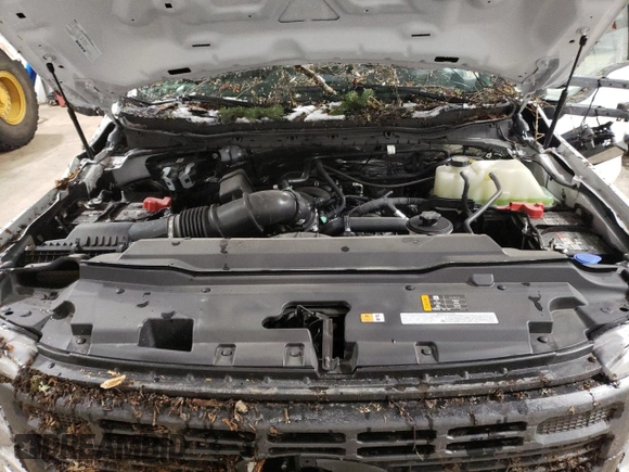 2024 Ford F-250 XL with VIN 1FTBF2BA6RED28824, listed as a Copart auction lot 43446825 with 3,777 mi miles and Salvage title. Bid and sale history available at DreamBid. Image 11.