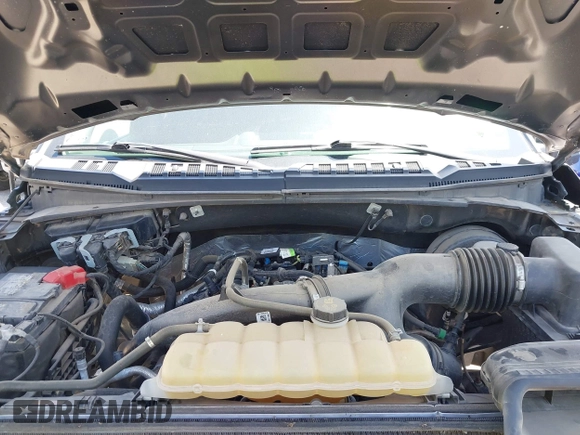 2019 Ford F-150 XL с VIN 1FTEW1CP7KKE04696, выставлен на аукционе IAAI как лот 42235664 с пробегом 81 014 миль миль и . История ставок и продаж доступна на DreamBid. Изображение 10.