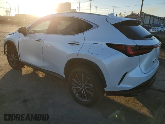2022 Lexus NX with VIN 2T2AGCEZXNC003053, listed as a Copart auction lot 41659275 with 20,062 mi miles and Salvage Title. Bid and sale history available at carsss.com. Image 2.