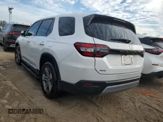 2024 Honda Pilot EX-L 8 Passenger with VIN 5FNYG1H49RB032102, listed as a Copart auction lot 73913564 with 0 mi miles and Salvage Title. Bid and sale history available at carsss.com. Image 2.