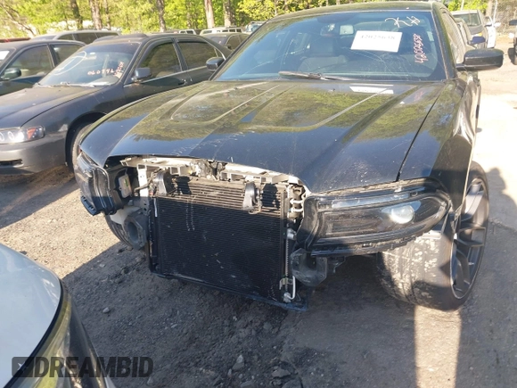 2014 Dodge Charger Police z VIN 2C3CDXAT3EH121230, wystawiony jako IAAI lot #42025638 z przebiegiem 48 224 mil mil oraz . Historia ofert i sprzedaży dostępna na DreamBid. Obrazek 11.
