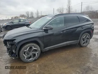 2022 Hyundai Tucson with VIN KM8JDDA24NU070208, listed as a Copart auction lot 51219865 with 74,888 mi miles and Salvage title. Bid and sale history available at DreamBid. Image 1.