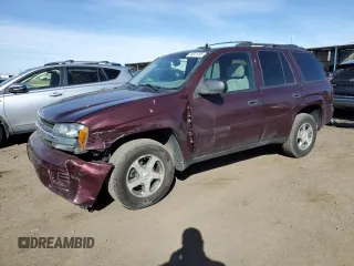 2006 Chevrolet TrailBlazer LS with VIN 1GNDT13S562309429, listed as a Copart auction lot 48631095 with 143,002 mi miles and Salvage Title. Bid and sale history available at carsss.com. Image 1.