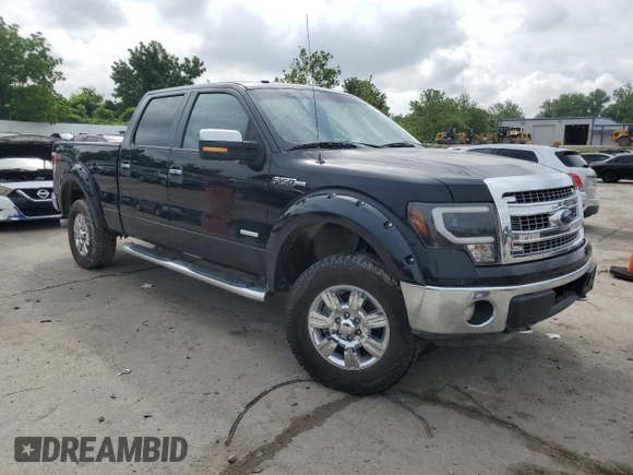 2013 Ford F-150 XL with VIN 1FTFW1ET6DKD97984, listed as a Copart auction lot 61098225 with 219,002 mi miles and Clean title. Bid and sale history available at DreamBid. Image 4.