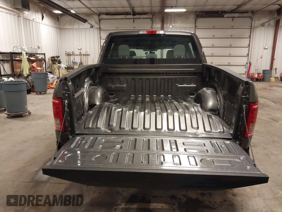 2016 Ford F-150 XL with VIN 1FTEW1CP0GKF67939, listed as a IAAI auction lot 42242922 with 131,309 mi miles and . Bid and sale history available at DreamBid. Image 16.