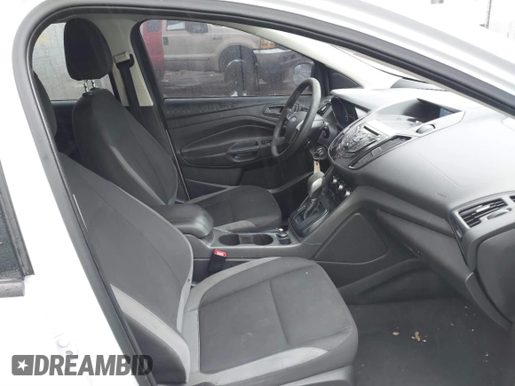 2014 Ford Escape S with VIN 1FMCU0F73EUB09490, listed as a IAAI auction lot 41557088 with 247,187 mi miles. Bid and sale history available at carsss.com. Image 5.