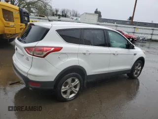 2014 Ford Escape SE with VIN 1FMCU9G96EUA46034, listed as a Copart auction lot 49678325 with 0 mi miles and Clean Title. Bid and sale history available at carsss.com. Image 3.
