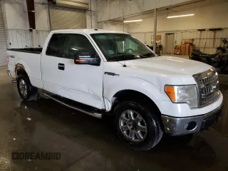 2013 Ford F-150 XL with VIN 1FTFX1EF2DKG09741, listed as a Copart auction lot 61973075 with 339,400 mi miles and Clean title. Bid and sale history available at DreamBid. Image 4.