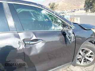 2019 Kia Sorento EX V6 with VIN 5XYPH4A58KG541318, listed as a IAAI auction lot 41021482 with 45,427 mi miles. Bid and sale history available at carsss.com. Image 18.