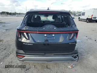 2025 Hyundai Tucson Limited with VIN 5NMJE3DE3SH448183, listed as a Copart auction lot 80440024 with 4,191 mi miles and Non Repairable. Bid and sale history available at carsss.com. Image 6.