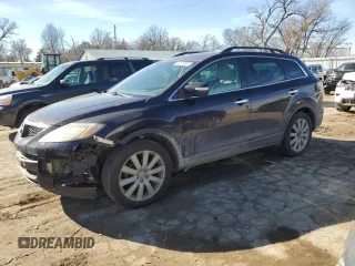 2009 Mazda CX-9 Touring with VIN JM3TB38A390170198, listed as a Copart auction lot 43619065 with 171,058 mi miles and Salvage Title. Bid and sale history available at carsss.com. Image 1.