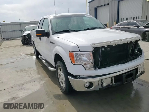 2013 Ford F-150 XL with VIN 1FTEX1CM4DFC81650, listed as a Copart auction lot 52021375 with 172,413 mi miles and Salvage title. Bid and sale history available at DreamBid. Image 13.